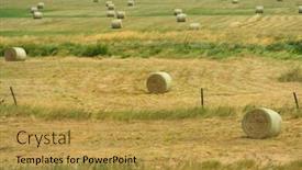  Presentation with hay field - Amazing PPT theme having landscape with a traditional hay field full of wild flowers and grasses surrounded by trees under a cloudy summer sky backdrop and a gold colored foreground