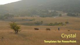  Presentation with hay field - Slides with landscape with a traditional hay field full of wild flowers and grasses surrounded by trees under a cloudy summer sky background and a tawny brown colored foreground