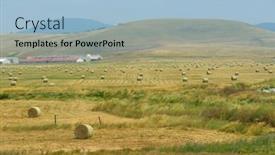  Presentation with hay field - Cool new presentation theme with landscape with a traditional hay field full of wild flowers and grasses surrounded by trees under a cloudy summer sky backdrop and a light blue colored foreground