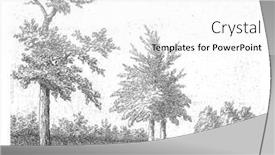  Presentation with branch - PPT layouts with landscape-with-a-tree background and a white colored foreground