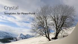  Presentation with winter landscape winter tree - Amazing PPT layouts having landscape-with-alone-tree backdrop and a light gray colored foreground