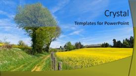  Presentation with yellow - Colorful slides enhanced with landscape with blooming yellow rape backdrop and a  colored foreground