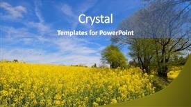  Presentation with landscape - Presentation design enhanced with landscape with blooming yellow rape background and a teal colored foreground