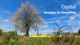  Presentation with landscape - Slide set consisting of landscape with blooming yellow rape background and a  colored foreground