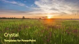  Presentation with summer flowers - Cool new PPT theme with landscape with coloful sunset in summer field with flowers backdrop and a tawny brown colored foreground