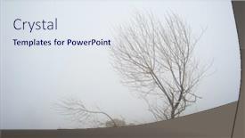  Presentation with fog - 