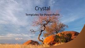  Presentation with blue sky - Theme having landscape with granite boulders trees background and a  colored foreground