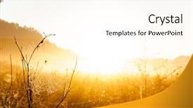  Presentation with medical assistant pediatric field - Cool new PPT layouts with landscape with grass and cobweb backdrop and a cream colored foreground