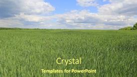  Presentation with farming - Amazing theme having landscape-with-green-farming-field backdrop and a tawny brown colored foreground