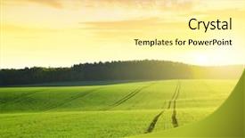  Presentation with agriculture field - Colorful slide deck enhanced with landscape with green wheat field backdrop and a blonde colored foreground