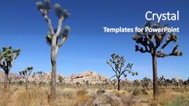  Presentation with joshua tree national park - PPT layouts with landscape-with-joshua-tree-joshua background and a ocean colored foreground