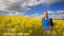  Presentation with seed - Amazing PPT theme having landscape-with-man-in-yellow backdrop and a tawny brown colored foreground