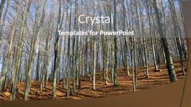  Presentation with forest - Amazing slides having landscape-with-mountain-leafless-forest backdrop and a gray colored foreground