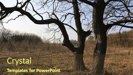  Presentation with oak - Slide deck enhanced with landscape-with-oak-trees background and a tawny brown colored foreground