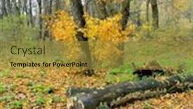  Presentation with meadow - PPT layouts featuring landscape-with-old-dead-tree background and a gold colored foreground