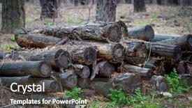  Presentation with brown old fashioned landscape - Beautiful presentation featuring landscape with old wooden logs backdrop and a dark gray colored foreground