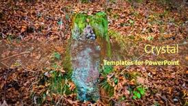  Presentation with moss - Colorful slide deck enhanced with landscape-with-old-wooden-stump backdrop and a tawny brown colored foreground