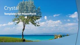  Presentation with olive tree - PPT theme consisting of landscape with olive tree at sunny greek seaside background and a teal colored foreground