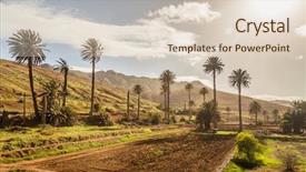  Presentation with palm - PPT layouts enhanced with landscape with palm trees background and a lemonade colored foreground