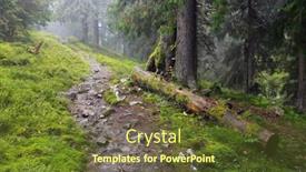  Presentation with forest morning - Theme having landscape-with-pathway-in-rainy background and a tawny brown colored foreground