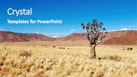  Presentation with plant - Cool new PPT theme with landscape with quiver tree aloe backdrop and a teal colored foreground