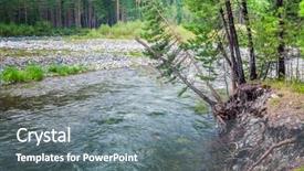  Presentation with trees - Theme enhanced with portrait of excited senior woman with funny sunglasses background and a light gray colored foreground