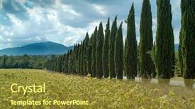  Presentation with tree sky trees green - Cool new presentation theme with landscape with rows of cypress backdrop and a  colored foreground