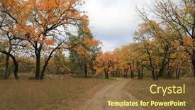  Presentation with oak forest - Presentation design enhanced with landscape-with-rut-road background and a tawny brown colored foreground