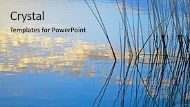  Presentation with water pollution polluted lake - Slides enhanced with business identity mock up item set on blue background background and a gray colored foreground