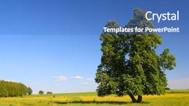  Presentation with single tree - Amazing theme having landscape with single lime tree backdrop and a  colored foreground
