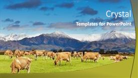  Presentation with grazing - PPT theme with landscape-with-snowy-mountains background and a teal colored foreground