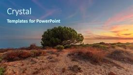  Presentation with sand - Theme having landscape-with-solitary-tree background and a ocean colored foreground