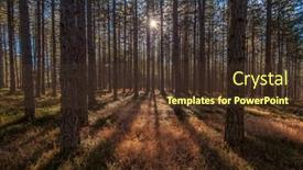  Presentation with pine forest - PPT theme with landscape-with-sun-and-shadows background and a  colored foreground