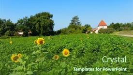  Presentation with sunflowers - PPT theme featuring landscape-with-sunflowers background and a tawny brown colored foreground