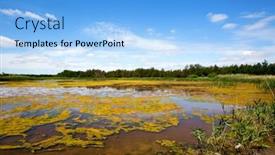  Presentation with swamp - PPT layouts consisting of landscape with swamp in steppe at summer day background and a light blue colored foreground