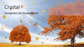  Presentation with autumn leaves falling - Presentation featuring landscape with the falling leaves background and a light blue colored foreground