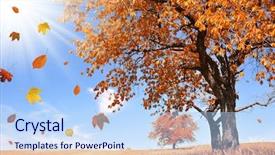  Presentation with autumn leaves falling - Colorful PPT theme enhanced with landscape with the falling leaves backdrop and a light blue colored foreground