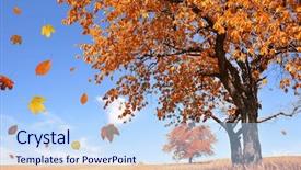  Presentation with falling leaves - Slide deck featuring landscape with the falling leaves background and a light blue colored foreground