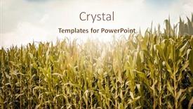  Presentation with italian - 