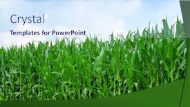  Presentation with italian - 