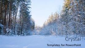  Presentation with winter forest - Cool new PPT theme with landscape-with-the-omage backdrop and a light blue colored foreground