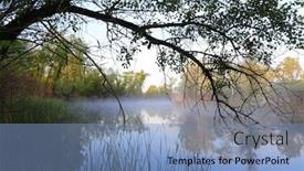  Presentation with tree river - Colorful presentation enhanced with landscape-with-tree-branch-over backdrop and a teal colored foreground