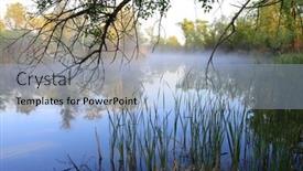  Presentation with tree river - Colorful presentation design enhanced with landscape-with-tree-branch-over backdrop and a light blue colored foreground