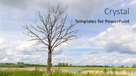  Presentation with tree river - PPT layouts featuring landscape-with-tree-near-dutch background and a light blue colored foreground