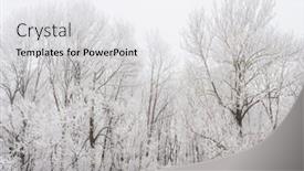  Presentation with winter weather - PPT theme featuring landscape-with-trees-and-rime background and a white colored foreground