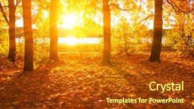  Presentation with nature sun trees - Cool new PPT layouts with landscape with trees in sun backdrop and a tawny brown colored foreground