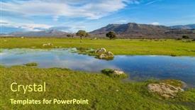  Presentation with trees - Slide deck having landscape-with-trees-reflected background and a  colored foreground