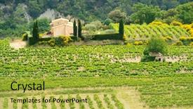  Presentation with vineyards - PPT layouts with landscape with vineyards in france background and a yellow colored foreground