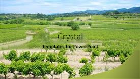  Presentation with vineyards - Amazing presentation theme having landscape-with-vineyards-in-france backdrop and a yellow colored foreground