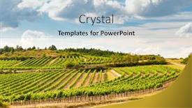  Presentation with vineyards - PPT layouts enhanced with landscape-with-vineyards-near-retz background and a light blue colored foreground